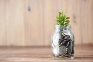 Money management tips: organize your paycheck and grow your savings