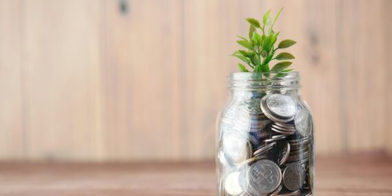 Money management tips: organize your paycheck and grow your savings