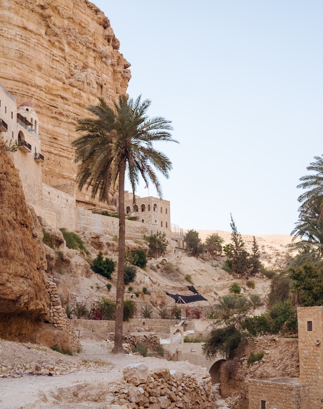 Explore the creation of the first cities and the rise of urban centers in ancient history.