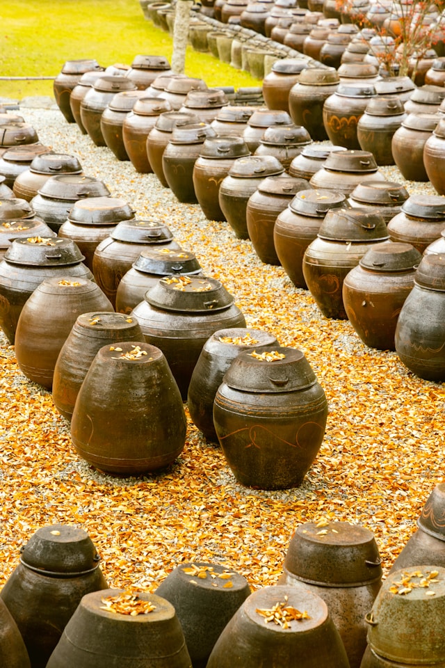 Explore how fermentation was discovered and its role in food preservation and culture.