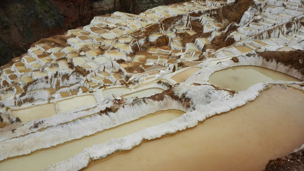 Explore how salt was discovered and its vital role in survival, trade, and civilization