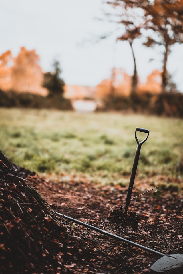 Discover the history of fertilizer and its early uses in ancient civilizations to increase crop yields and soil fertility
