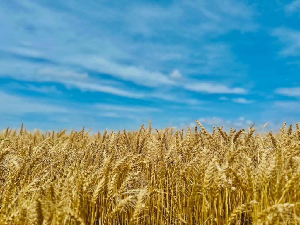 Discover the history of pesticides and herbicides and how they transformed agriculture and food production.