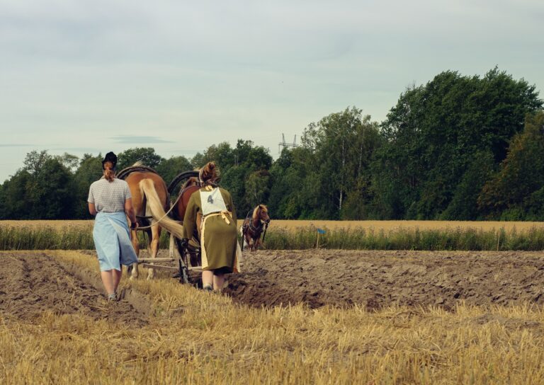 Explore the invention of the plow and its impact on farming and early civilizations.