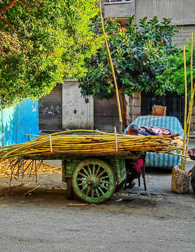 Discover the history of wheel invention and how it transformed transport, trade, and technology.