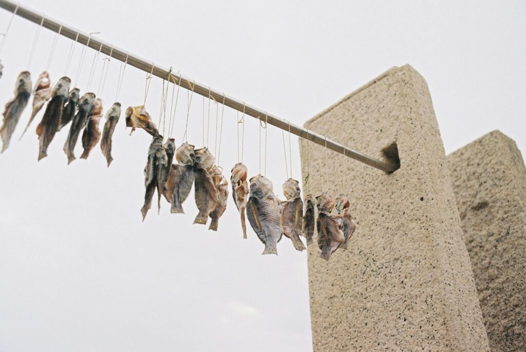 Discover traditional food preservation methods such as curing, smoking, drying, and preserves.