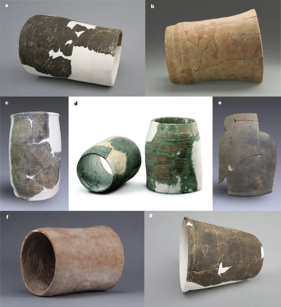 Discover the history of plumbing, sanitation, and water management in ancient civilizations.