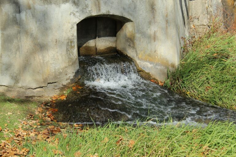Discover the history of plumbing, sanitation, and water management in ancient civilizations.