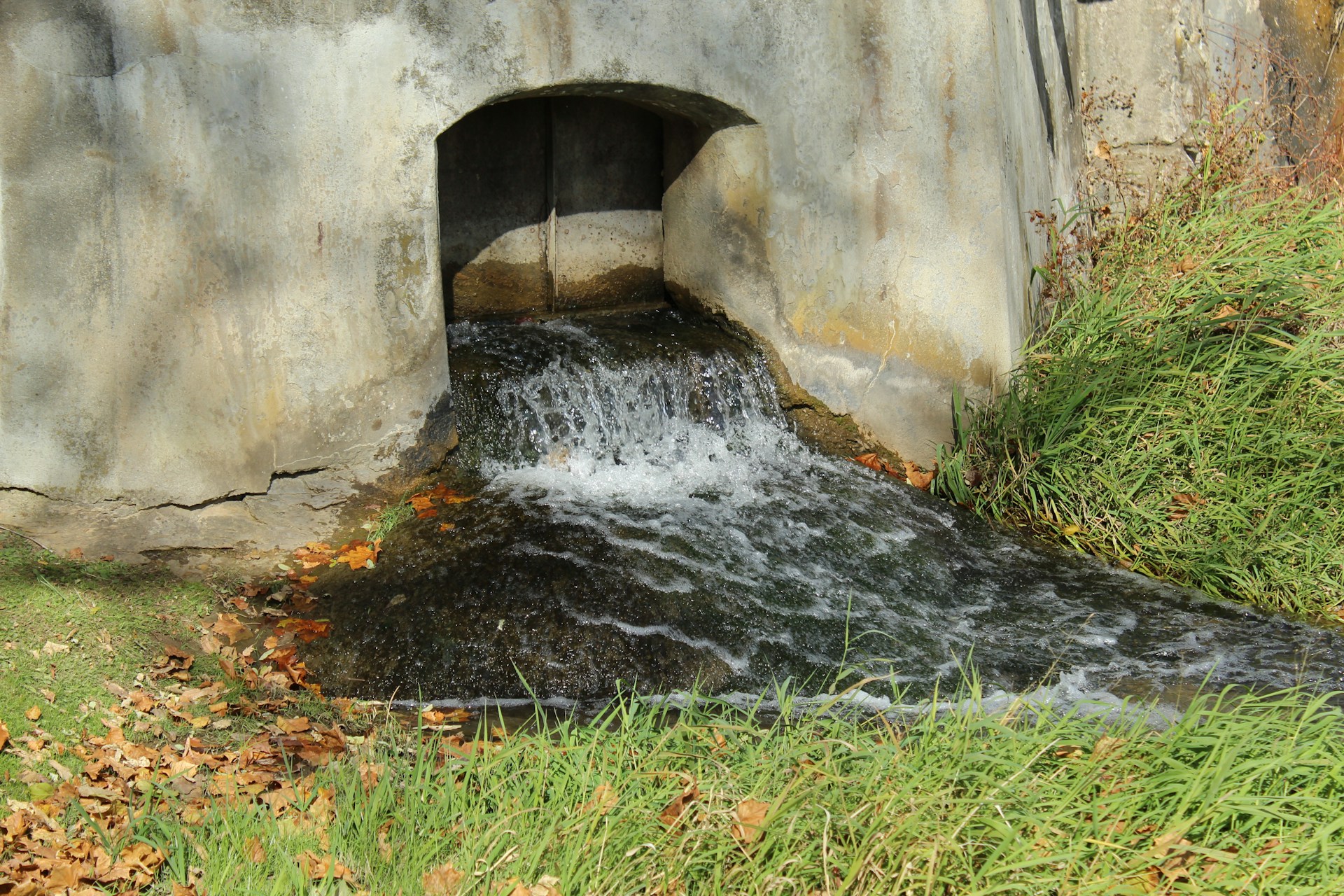 Discover the history of plumbing, sanitation, and water management in ancient civilizations.