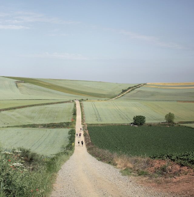 Discover the history of pilgrimage in antiquity and its role in ancient societies.