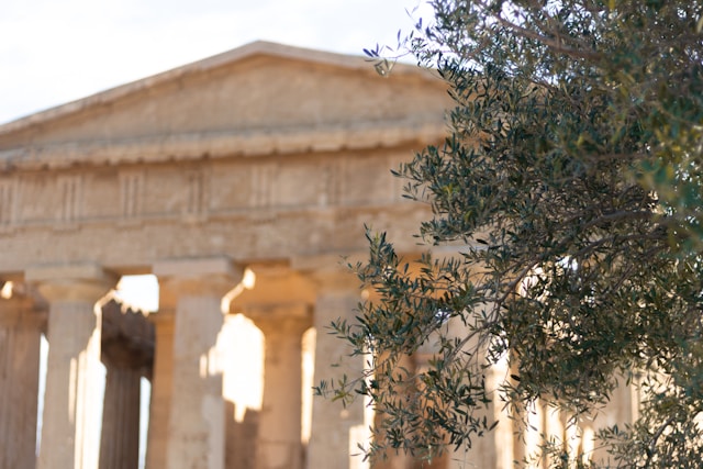 Olive tree in front of ancient Mediterranean civilizations construction
